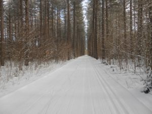 Pinder Trail - December 12, 2016